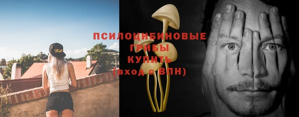 ALPHA PVP Володарск